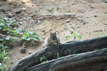 IMG_9856.jpg