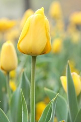 IMG_0796.JPG