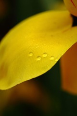 IMG_0799.JPG