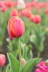IMG_0846.JPG