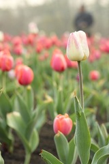 IMG_0848.JPG