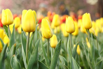 IMG_0857.JPG