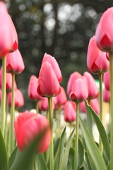 IMG_0863.JPG