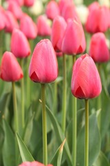IMG_0868.JPG