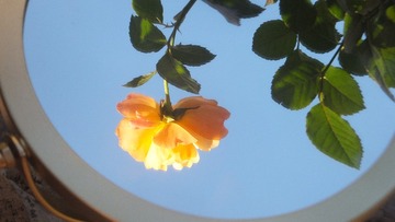 F4D76547-47B8-4FE1-B4C2-6CC292ACFC48/L0/001