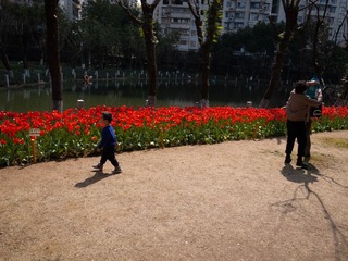 2AB8CCC0-463E-430B-927F-4129030E7584/L0/001