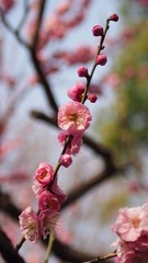 6F260E9B-C8B8-4A5F-A569-F5A793ECBBEE/L0/001