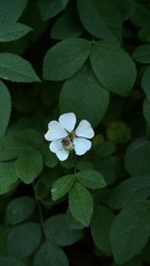 435C2320-F6E5-4356-85F2-E1BCBC488F00/L0/001