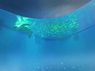 29188