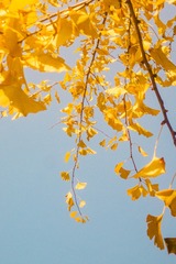 0A872D54-9B0E-46B0-A49C-7C5BE1ACDFFC/L0/001