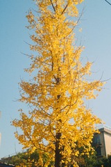 24F187F5-8B90-42BF-AC08-EDD9050507FE/L0/001