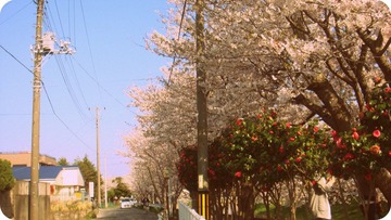 DSC06331.JPG