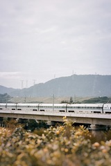 3899F8C5-030E-4EBA-85DA-FB5630736E59/L0/001