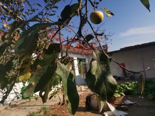 1603574