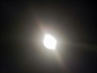1604066