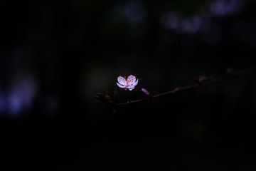 A865414A-A3F3-404D-A8E0-05AD1FD922AD/L0/001