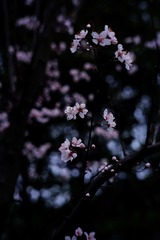 D3F1D10D-4017-4B97-8DD0-91F5EEF3E005/L0/001
