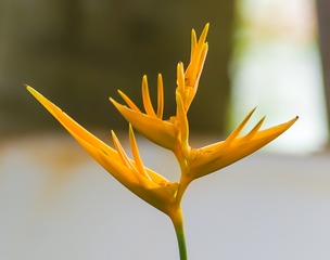 10205