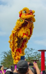 22055