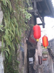 人面桃花.jpg
