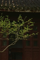 A959866C-B249-429A-8B54-C7F35BCED83F/L0/001