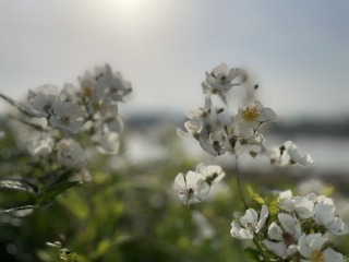 46710523-CF5A-4FC7-9765-06E802499AE2/L0/001