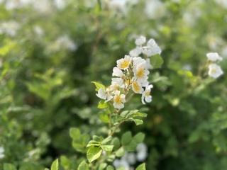 D7E476A1-F4D5-4AC0-872B-A2E02F6B0D3F/L0/001