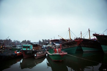 IMG_0985A.jpg