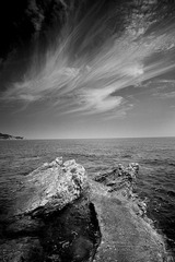 IMG_5032A.jpg