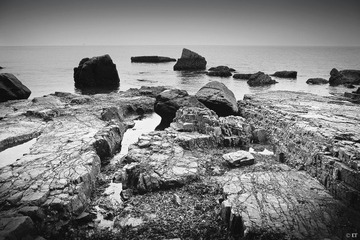 IMG_5112A.jpg
