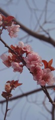 F4142D44-7254-425D-B525-D8808AE6E43D/L0/001