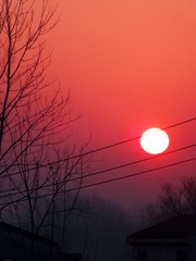 3A3CD290-211F-45ED-AB6F-AF15F91C170B/L0/001