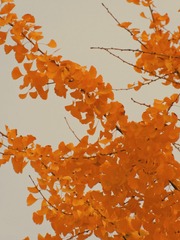 9F1E3295-27D1-4C18-97FA-526FF80DBEE4/L0/001