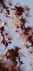 B4560636-E3C9-49B2-8A60-06157FA55DC9/L0/001