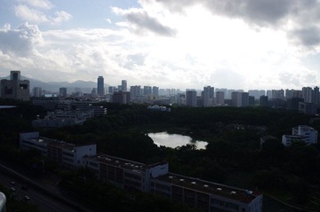 IMGP3035.JPG