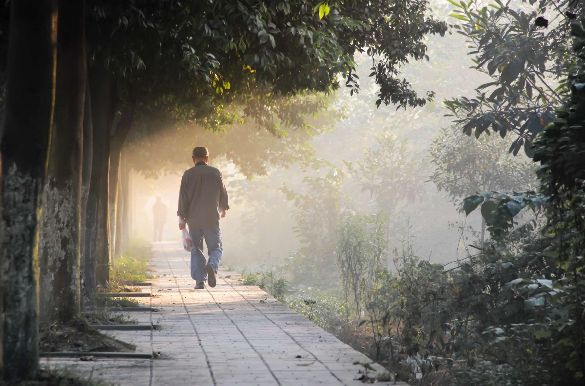 朝阳的活力加上暮年的落寞