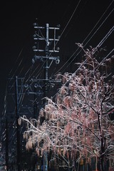 BF9A3185-C140-407F-B1ED-36557E1D2921/L0/001