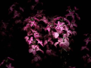 88C2904F-9650-4C06-BB70-1C4C66F79875/L0/001