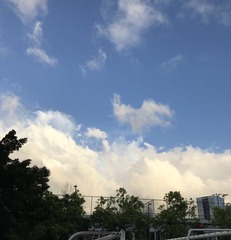 0373B08D-3CE2-4A90-8C8F-EF05A80CE873/L0/001