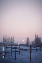CF410612-8338-4D96-9001-7F71E185C91C/L0/001