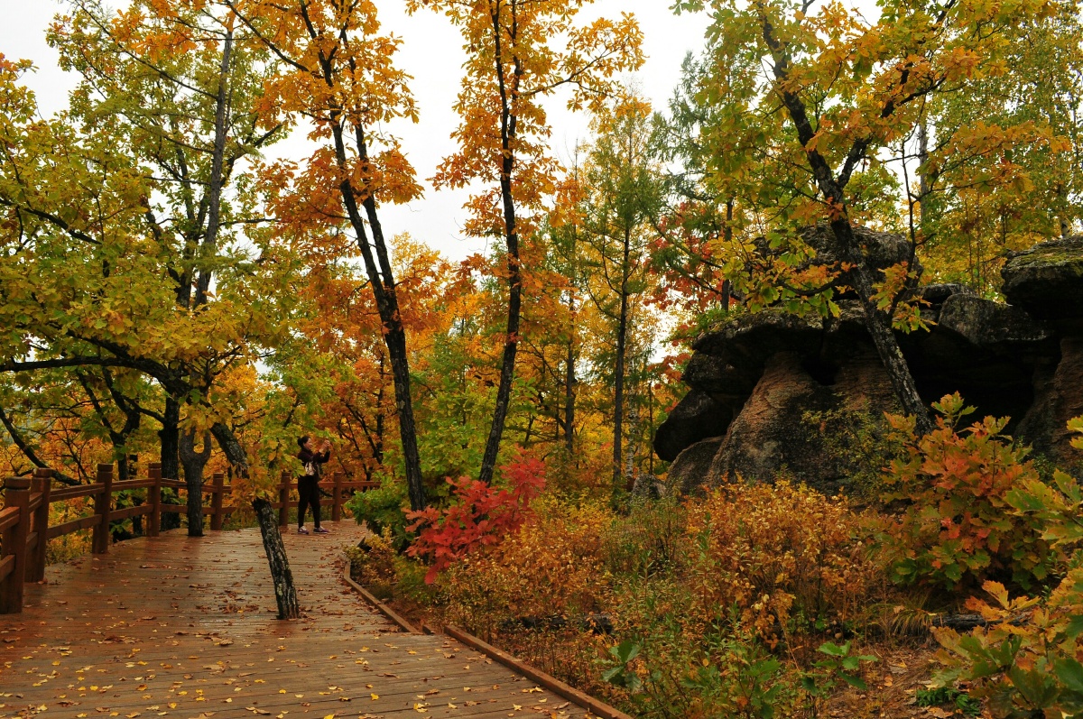 嘎仙洞森林公园秋色
