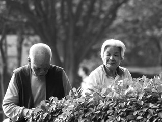 img_3185_副本.jpg