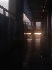 36447