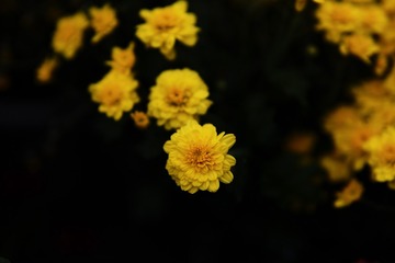 C3B33E18-D817-401F-ADDD-208CE4B822D6/L0/001