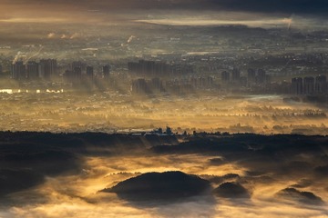 _DSC7335