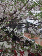 F50AD948-997D-48C0-9606-AF853380D3B0/L0/001