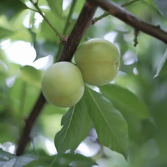FA71B7B8-5E41-4E01-9D0E-F65B69809A61/L0/001