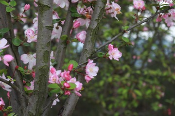 8C4968CB-50BA-4BA7-BC1C-3275726E3F58/L0/001