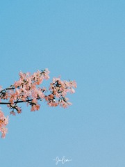 0F08A789-FEF0-4F39-B55B-E585598C49B8/L0/001