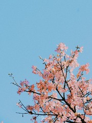33F8E8A4-E31C-41EA-B0C4-8FD942519906/L0/001